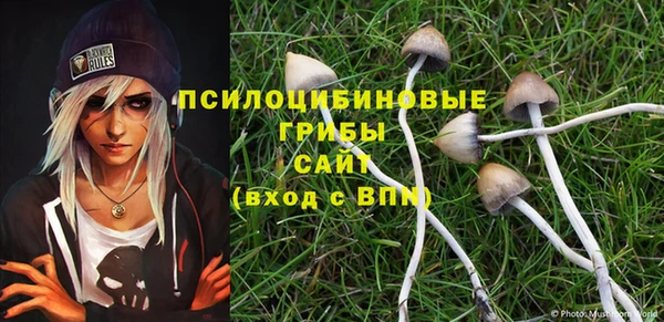 apvp Алзамай