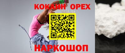 крисы Краснознаменск