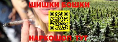 крисы Краснознаменск