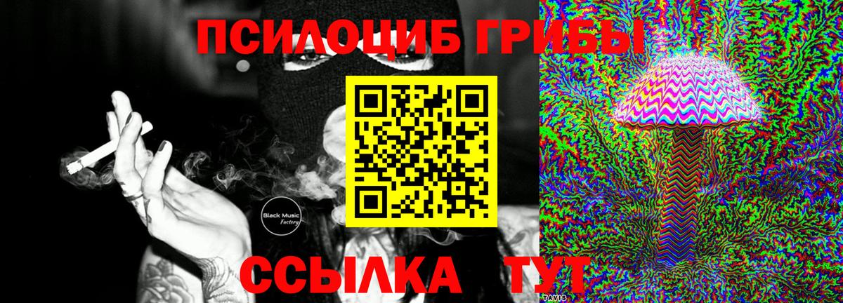 Галлюциногенные грибы мухоморы Керчь