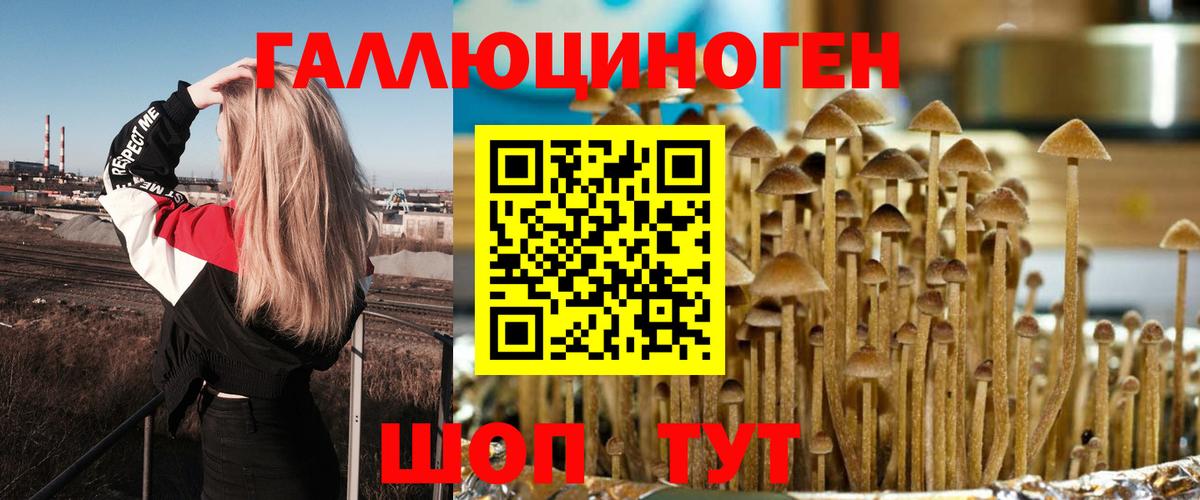 Галлюциногенные грибы MAGIC MUSHROOMS  Галлюциногенные грибы Magic Shrooms  где купить наркоту  Керчь  Вход с VPN 